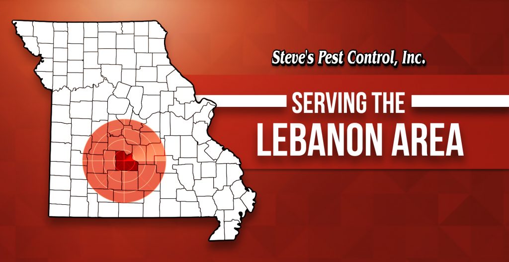 Lebanon Lebanon