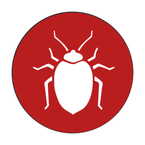 bed-bug-still_bb988f6262280a764aa8725b281b87f8 bed-bug-still_bb988f6262280a764aa8725b281b87f8