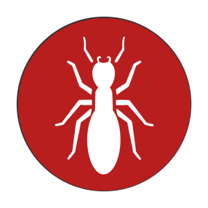 termite-still_b9b2da66ab4e65c3e46adc4e13c2d789 termite-still_b9b2da66ab4e65c3e46adc4e13c2d789