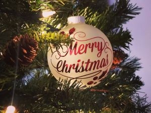 Color Changing Holiday Lighting Systems in Georgetown