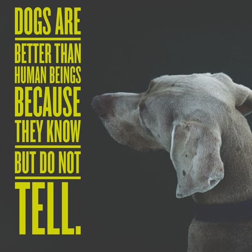 Dog Quotes 25 Sayings Only Dog Lovers Will Understand