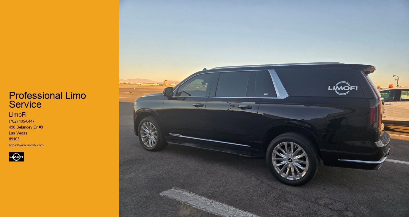 Professional Limo Service