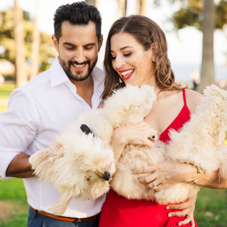 00 palisades park santa monica doggy engagement photography