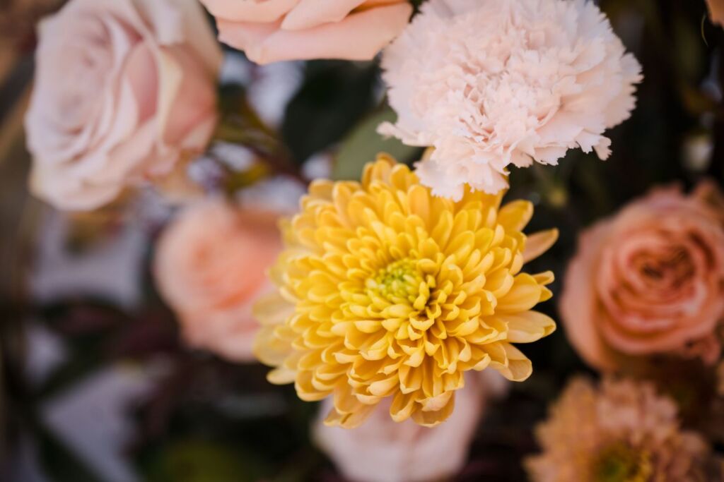 hilton santa barbara 1 (33)