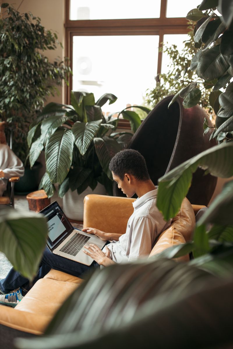 Cloud Based Software