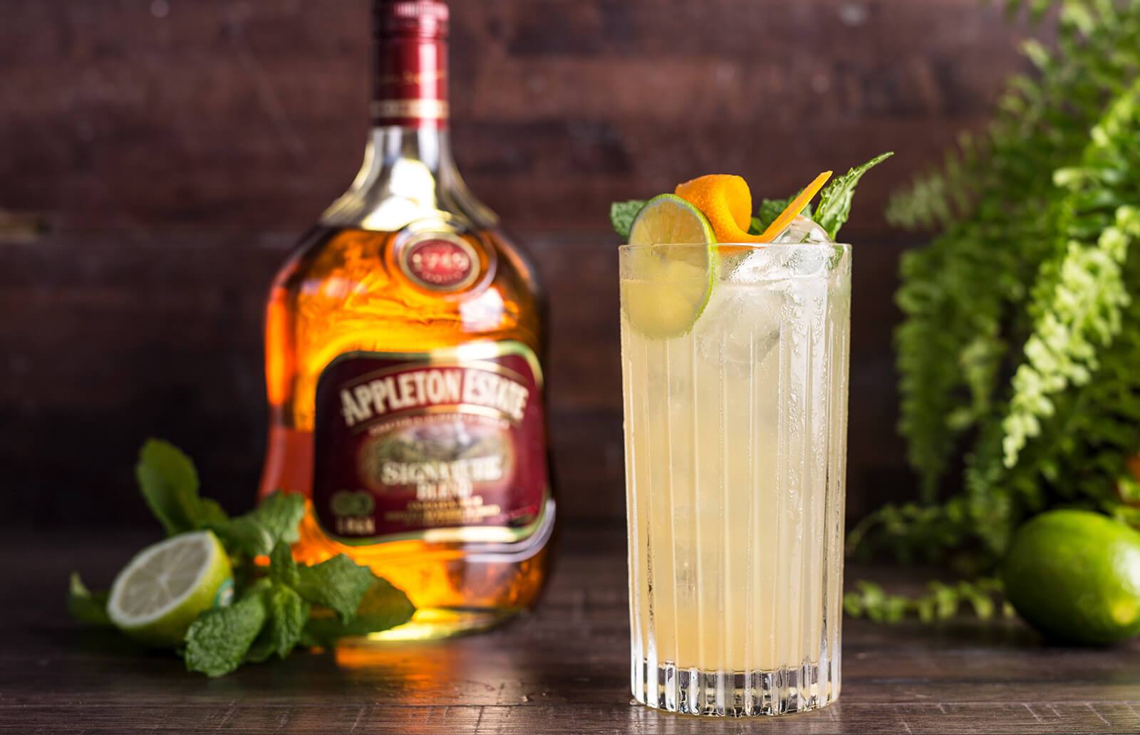 The Mix Find your Favourite Drink Cocktail Recipes from The Mix