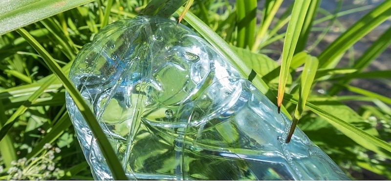 ¿Qué hacemos con el jardín durante la sequía? - Noticia - El Nuevo Día