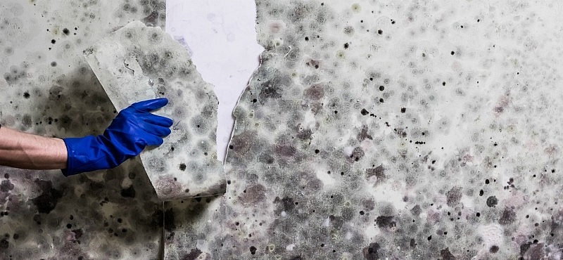 6 soluciones para hacer reparaciones rápidas y duraderas en casa