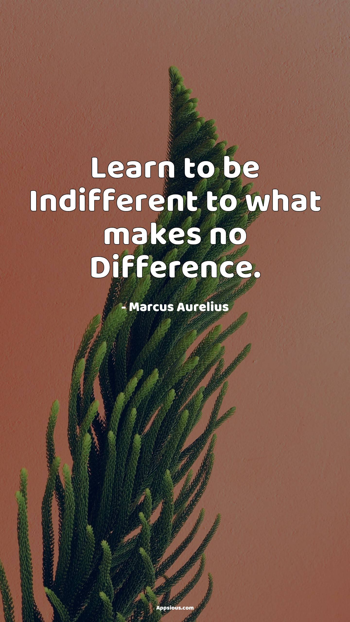 Learn to be Indifferent to what makes no Difference. Learn to be Indifferent to what makes no Difference.