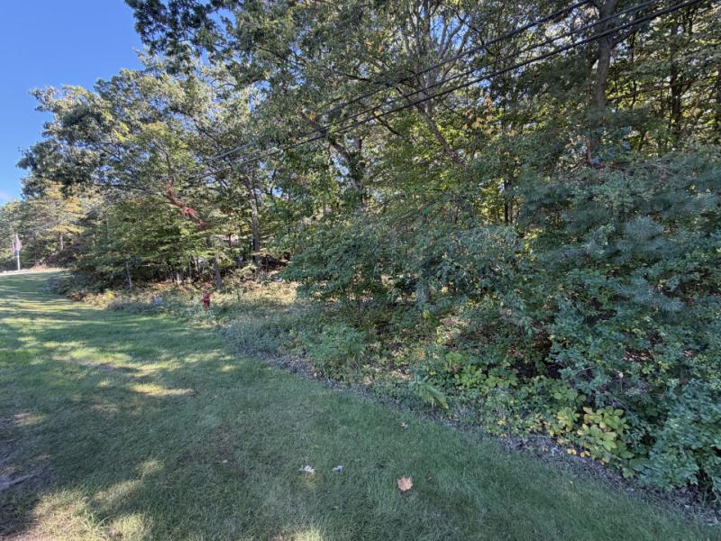 00 Port Austin Rd