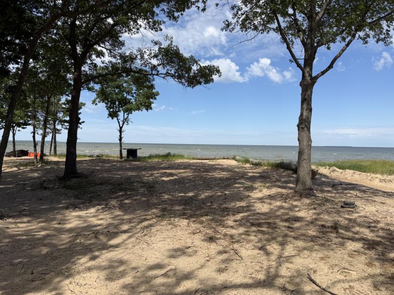 Port Austin Rd