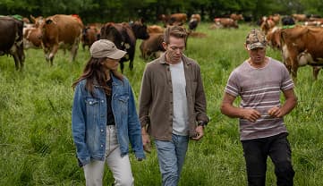 Three people walking through a pasture surrounded by a herd of grazing dairy cows