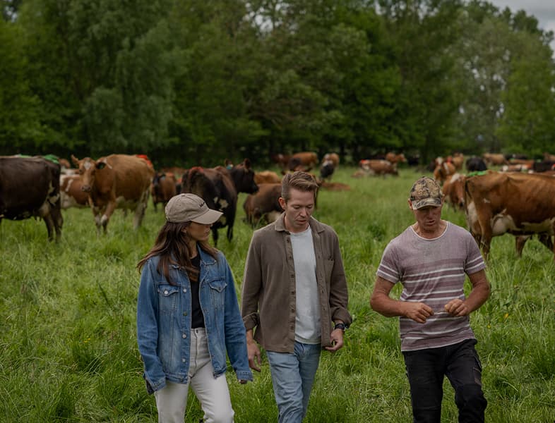 Three people walking through a pasture surrounded by a herd of grazing dairy cowss