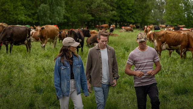 Three people walking through a pasture surrounded by a herd of grazing dairy cows