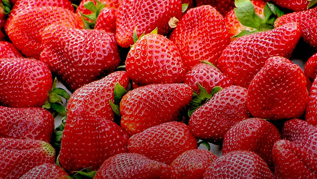 Close-up of fresh strawberries