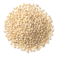 Whole Grain Barley icon