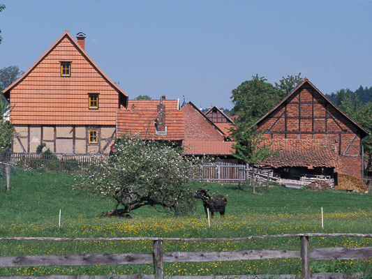 5.1 Alltag