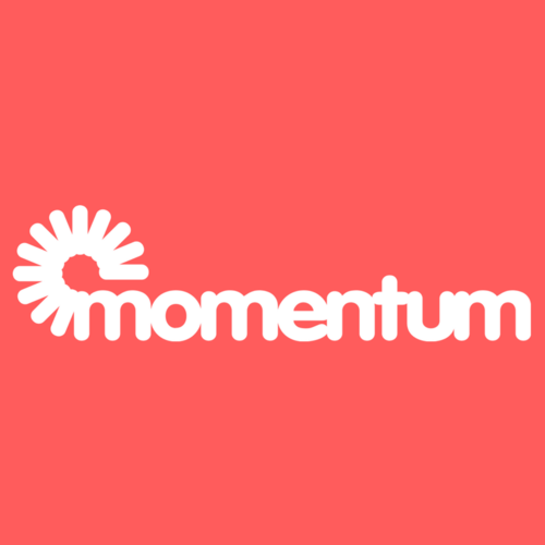 Momentum IT Services FZE