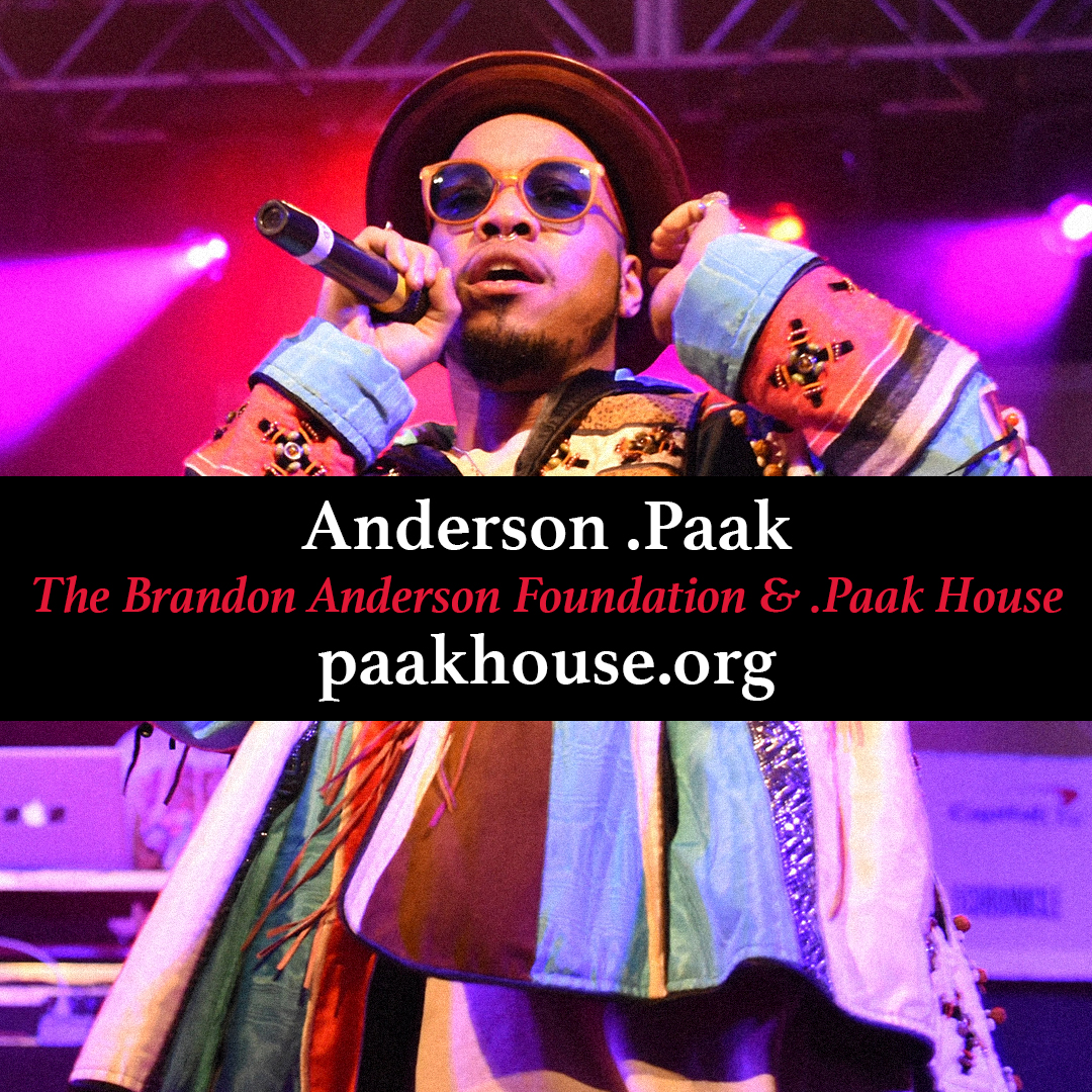 Mlk Artistcharity Andersonpaak 1x1