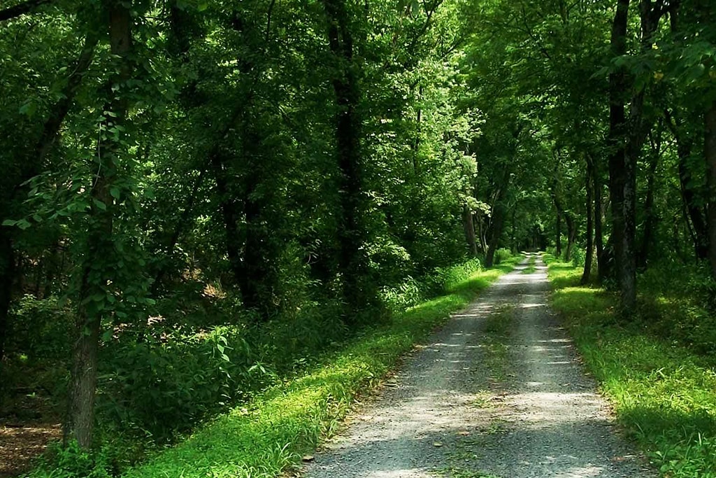 Apartment Amenities in Reston Lerner Springs at Reston