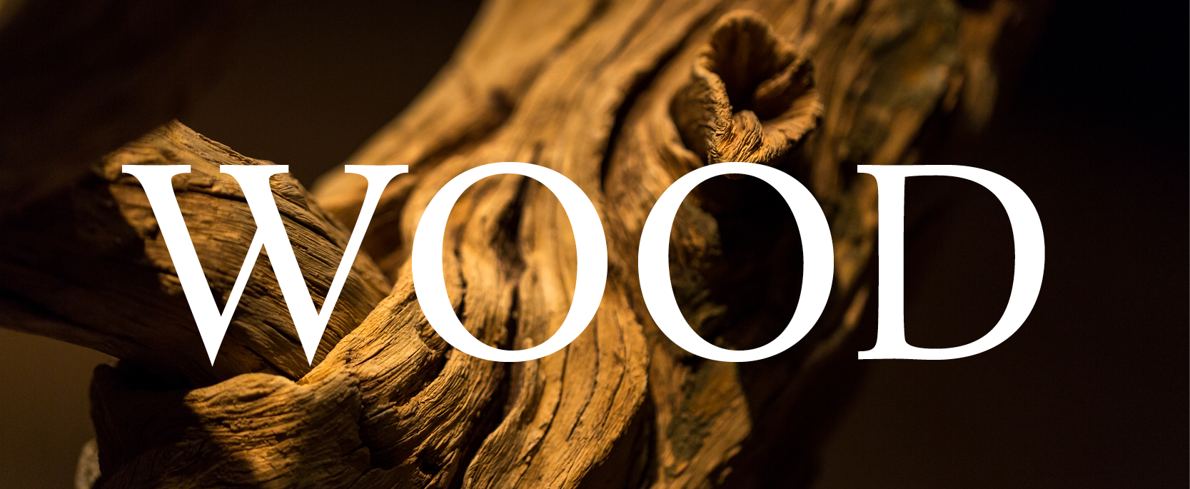 Materials-Email-Banner-Templates2