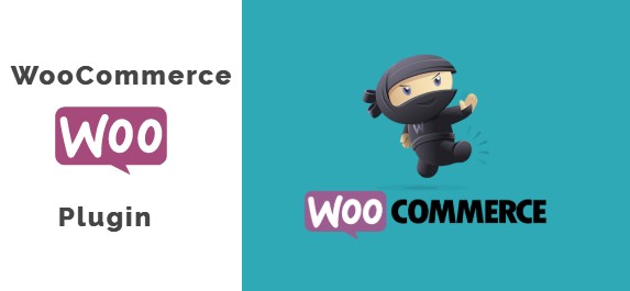 WooCommerce Plugin