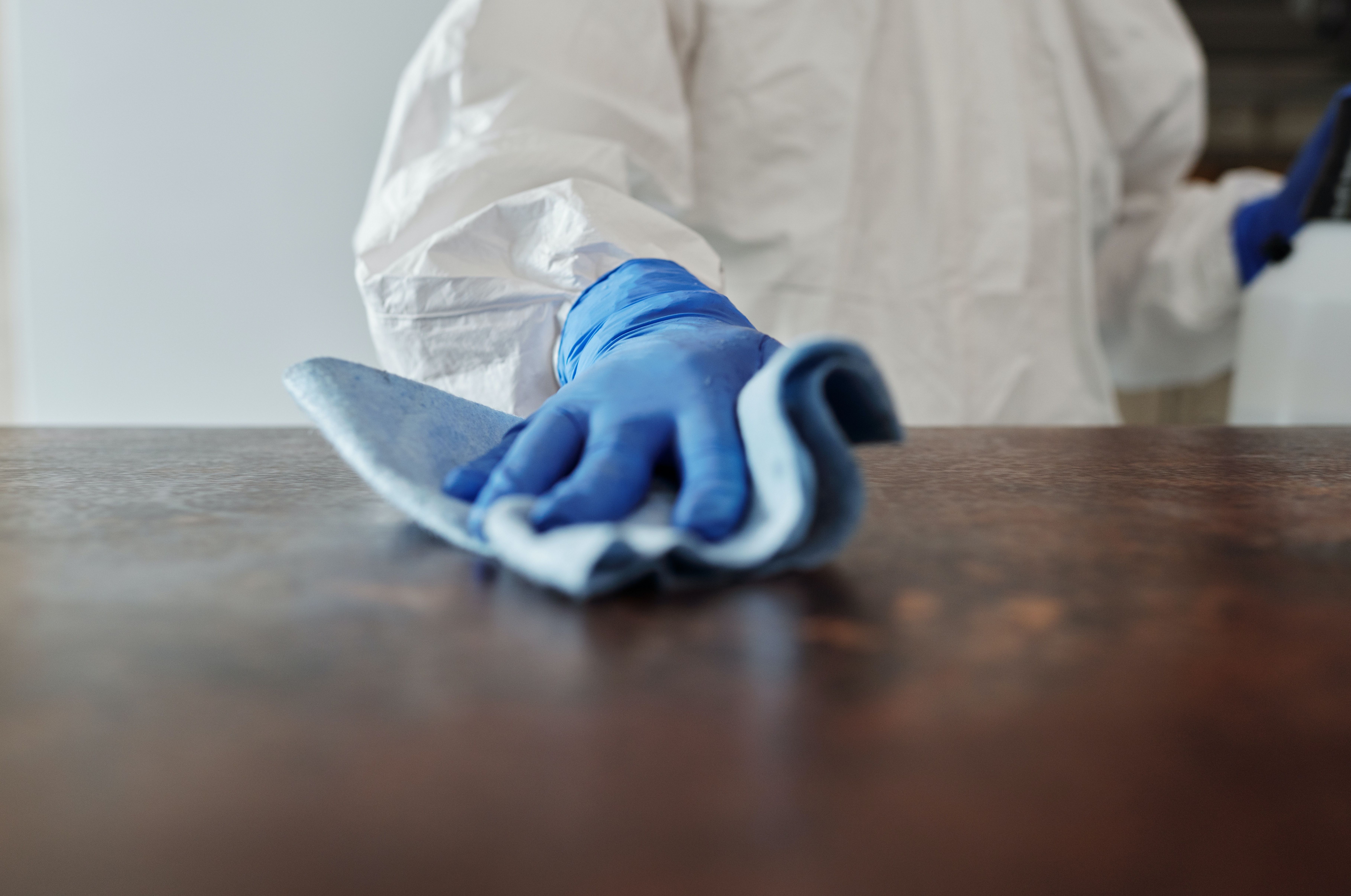 Apartment Move Out Cleaning Amsterdam Netherlands