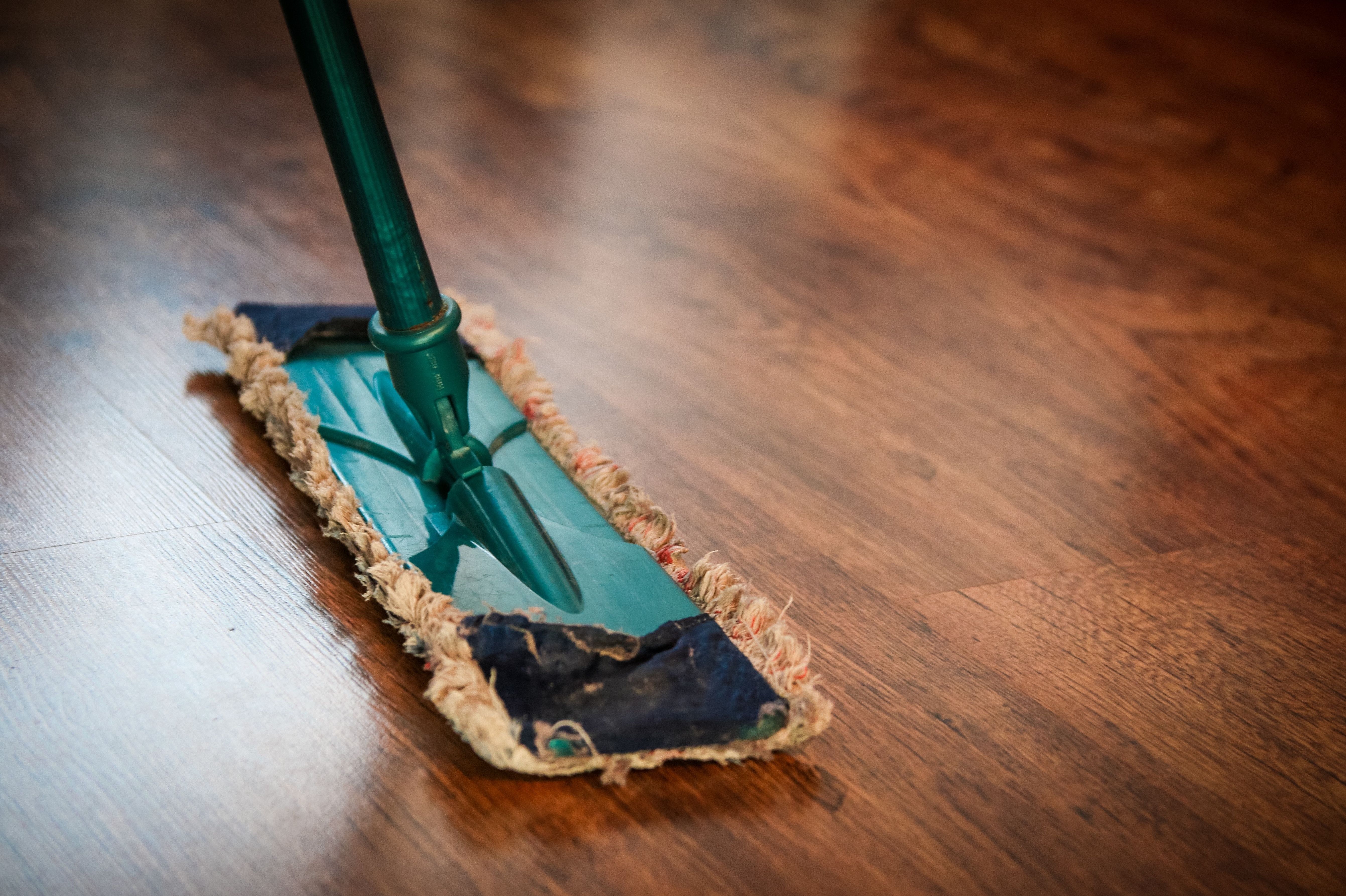 Full House Cleaning Service Amsterdam Netherlands