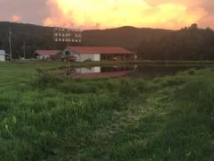Justice Farms
