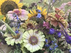 Moss and Thistle Flower Farm