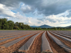 Myers Brothers Farm