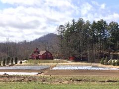 Creekside Farm CSA LLC