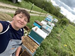 Wilderkin Beekeeping