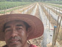 Alvarado Farms