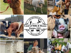 Land of Milk & Honey Farms, LLC