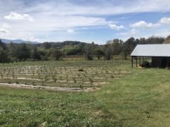 Russwood Farms