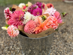 Grey Dog Flowers