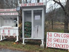 Zimmerman Poultry & Grain