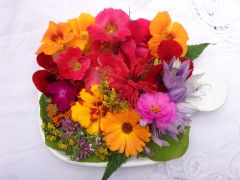 Big Briar Botanicals