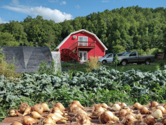 Rose Thunder Farm