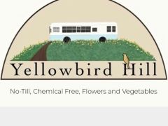Yellowbird Hill