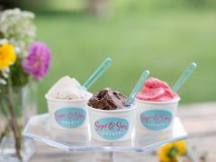 Sugar & Snow Gelato
