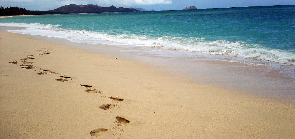 Trips to Tropical Paradises