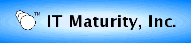 IT Maturity