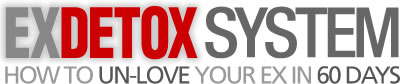 ExDetoxSystem