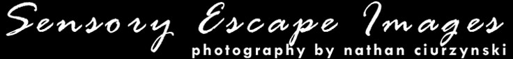 Sensory Escape Images