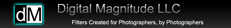 Digital Magnitude