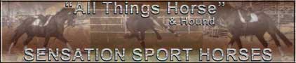 Sensation SportHorses LLC