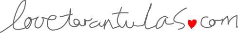 lovetarantulas.com