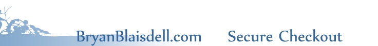 BryanBlaisdell.com